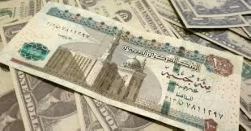 سعر صرف الريال السعودي مقابل الجنيه المصري