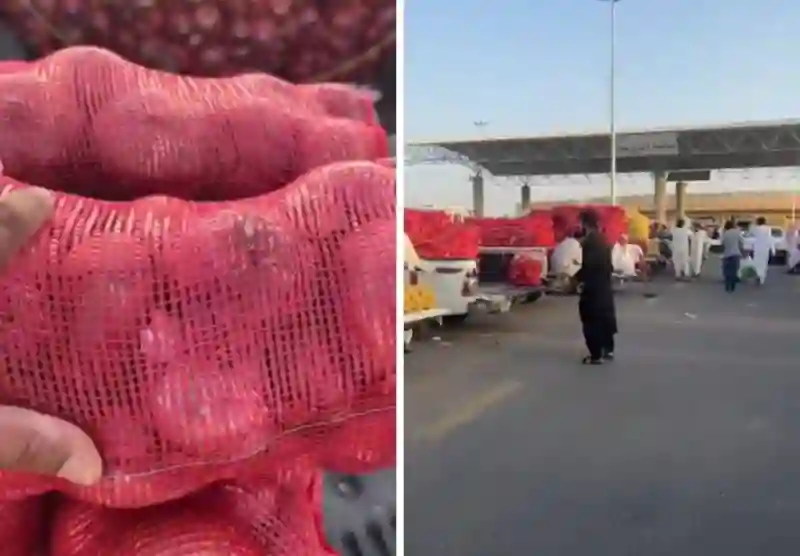 من جديد انقلاب في أسعار البصل والكيلو يسجل هذا السعر التاريخي 