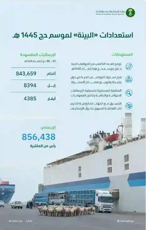 رسمياً: صدور قرارات جديدة في السعودية تخفض أسعار الاضاحي من هذا التاريخ 