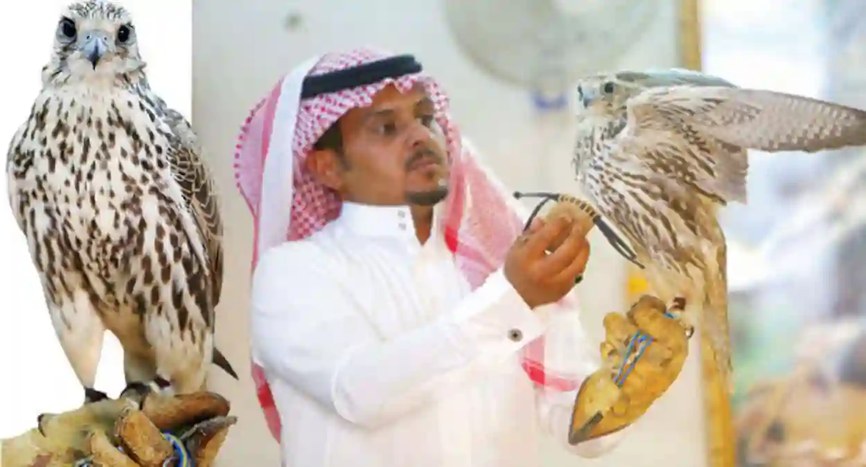 مع بداية موسم الصيد تعرف علي المناطق التي يمنع فيها الصيد داخل السعودية