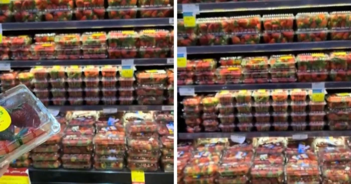 مقطع فيديو يكشف شيء غير متوقع في الفراولة المنتشرة هذه الأيام في أسواق السعودية 