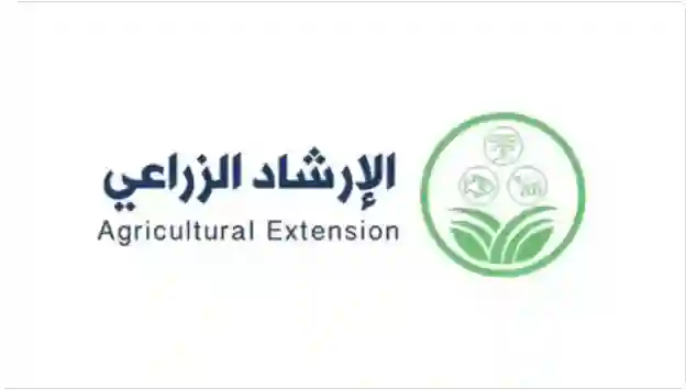 عاجل: تحذيرات في السعودية من شراء الأغنام التي تتغذى على هذا النوع الشائع من الأعلاف 