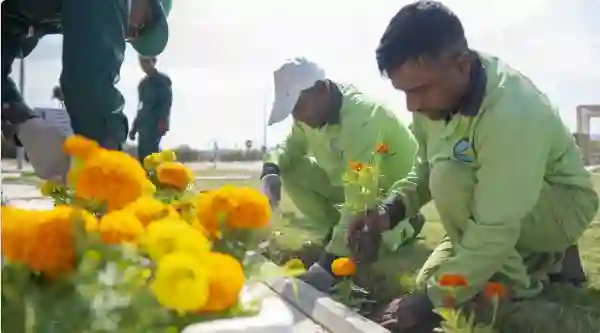 أمانة الطائف تعلن بدء مشروع جديد يغير شكل الطايف ويجعلها أجمل من سويسرا 