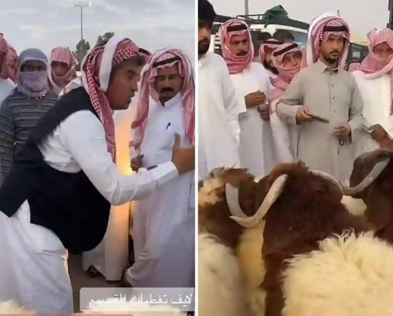 فيديو مزاد على خرفان في السعودية ينتهي بمفاجأة 
