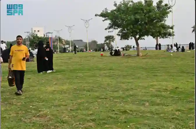 مشاهد ساحرة من العارضة جنوب السعودية اللون الأخضر يصل الى السماء 