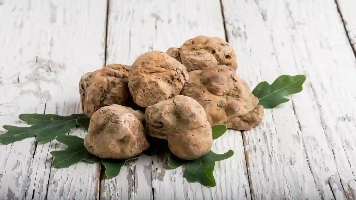 أسرار تعرفها لأول مرة عن الفقع في السعودية وسبب وصول سعر الكيلو 2500 ريال هذه الأيام  