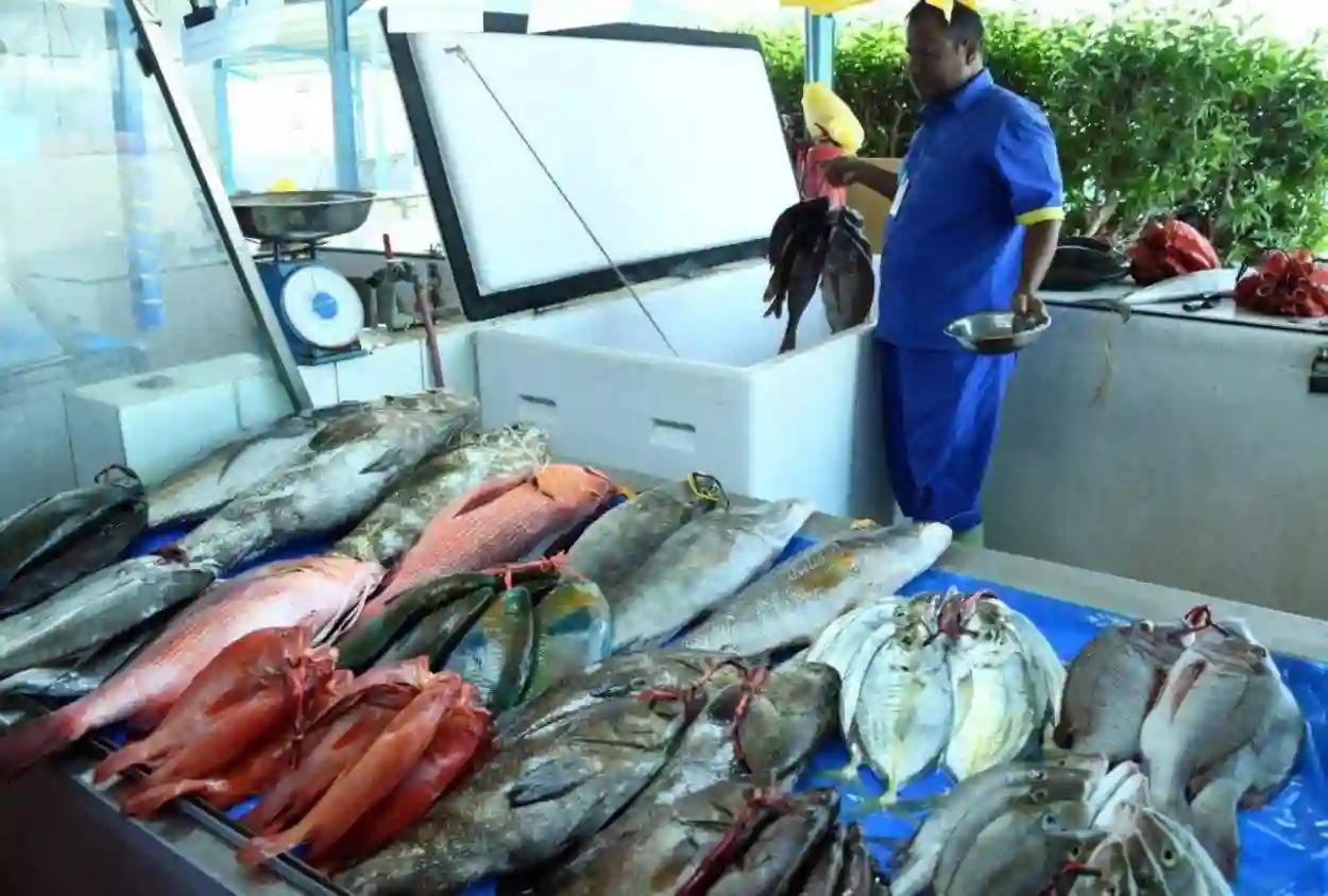 وزارة البيئة السعودية تحدد شروط دعم صغار الصيادين السعوديين 1446