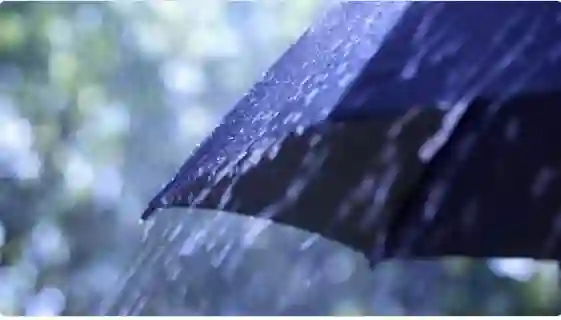 نصائح هامة لما يجب فعله عند سقوط الامطار في هذه المناطق من السعودية 