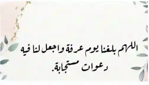 للحجاج كما جاء في السنة طريقة قضاء يوم عرفة ومن متى يبدء يوم عرفة والساعة كم ينتهي؟ 