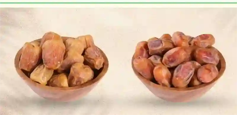 السعودية: رقم تاريخي في إنتاج التمور ووزارة البيئة تحدد أفضل نوع تمور تنتجه المملكة وحصة الرياض والمدينة المنورة من إنتاج التمور