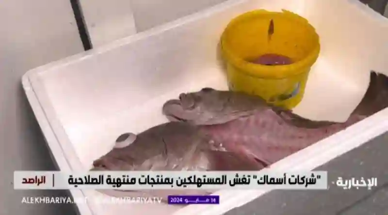 فيديو تحذير من شراء أو تناول هذا النوع من الاسماك المجمدة المنتشرة في الرياض 