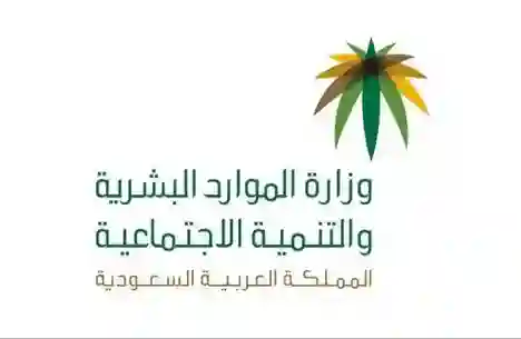 مع اقتراب تاريخ بداية تطبيقه.. نظام العمل الجديد في السعودية يمنح كل العاملين في القطاع الخاص هذه الحقوق المالية الجديدة إضافة للراتب 