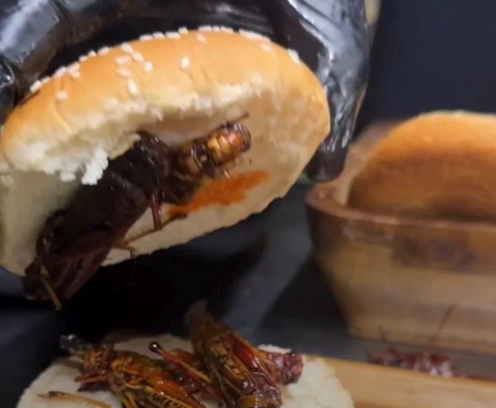 وين الاقي بيرجر جراد في الرياض؟ 