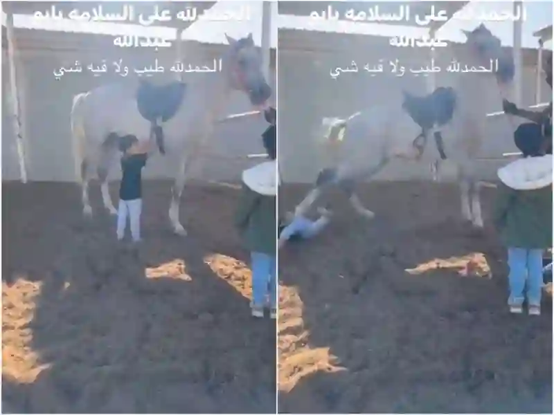 فيديو يشعل شبكات التواصل في السعودية لحصان رفس طفل وهو يحاول استكشاف طريقة فك السرج 