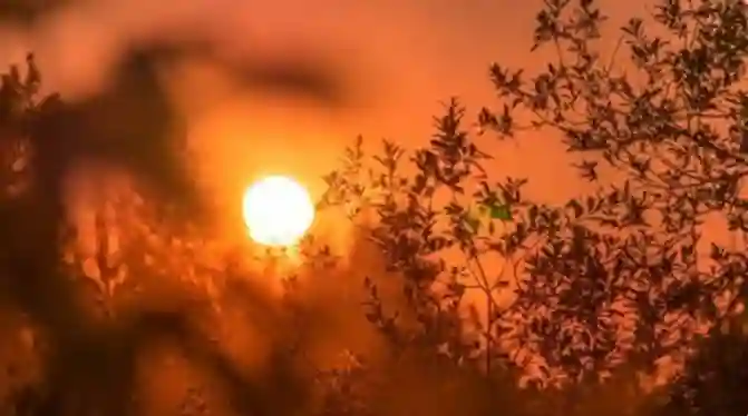 الوطني للأرصاد يحذر سكان الرياض من موجة صقيع وصلت لهذه المناطق في العاصمة ويحدد تاريخ نهايتها 