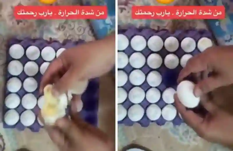 شوف وش صار لطبق بيض نساه راعية في السيارة في جدة ووش سوا الحر في البيض 