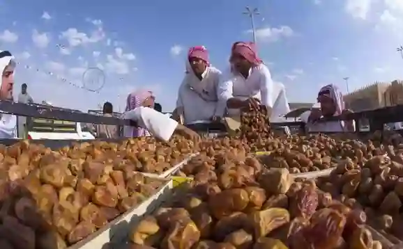 هذه هي الفاكهة الوحيدة التي تصدرها السعودية للعالم طوال أيام السنة 