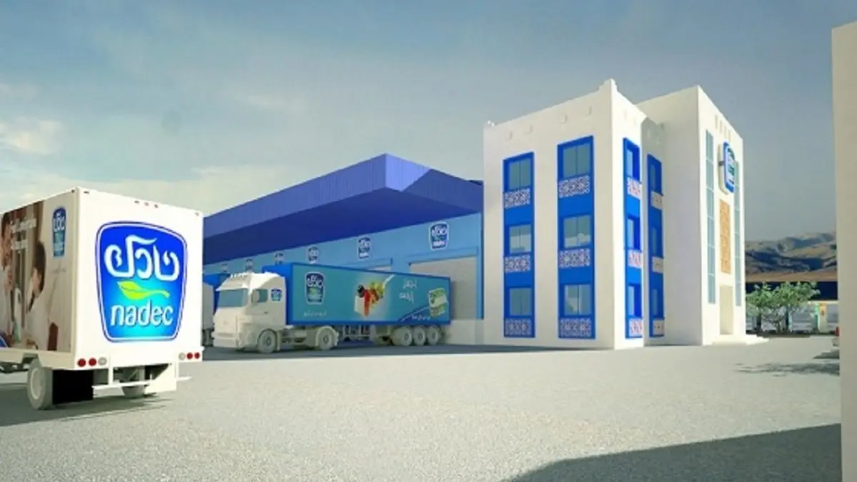 نادك تعلن أخبار جديدة عن حجم نشاطها تقفز بسعر سهمها لهذا المستوى القياسي الجديد  