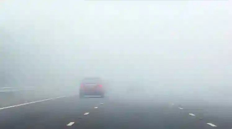 الوطني للأرصاد ينبه السائقين من ضباب كثيف من فجر الجمعة على هذه المناطق في السعودية 