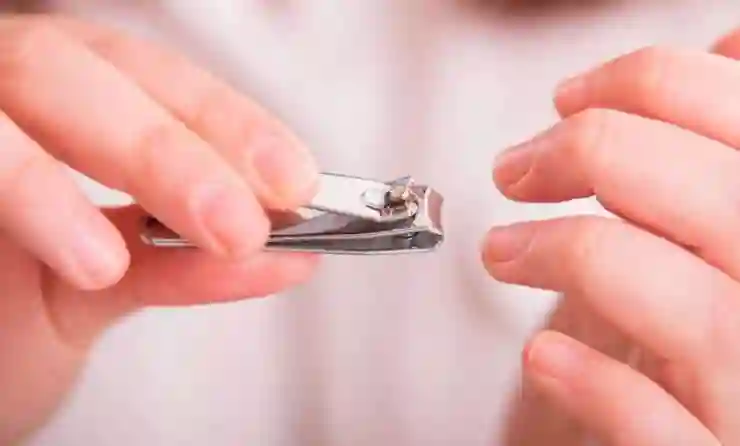 بالهجري والميلادي أخر تاريخ يجوز فيه لمن أراد أن يضحي حلق شعره وقص أظافره 