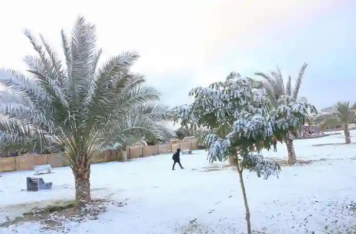موجة صقيع قوية تضرب الكويت ودرجات الحرارة تقارب الصفر في هذا التاريخ 