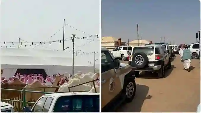 الرياض: تفاصيل جديدة عن وقف مزاد كبير للإبل بسبب فضيحة مالية في مصادر التمويل 