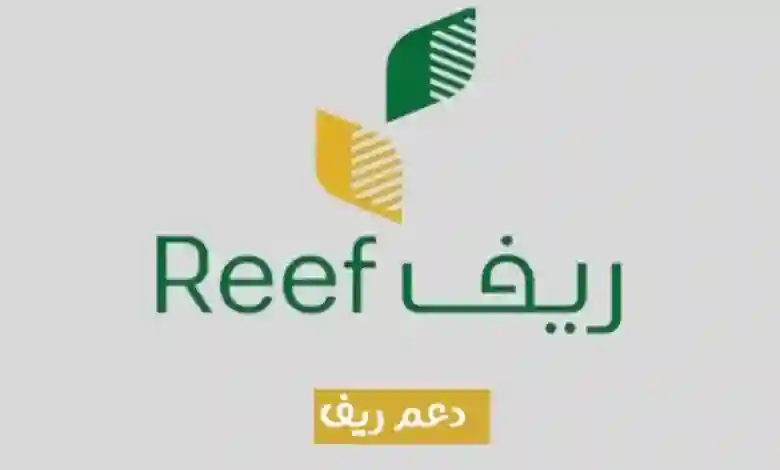 كيف استعلم عن استحقاق وقيمة دعم ريف بالخطوات؟