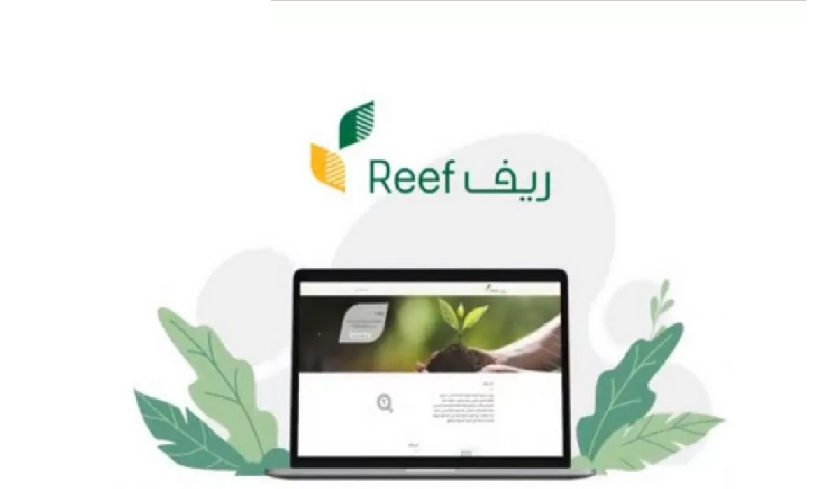 شروط برنامج دعم ريف للعاطلين