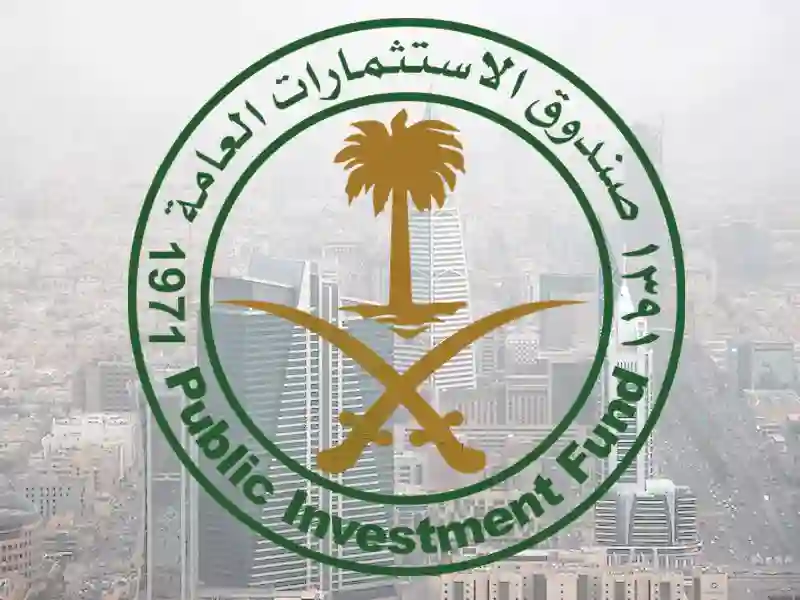 الشركات التي استحوذ عليها صندوق الاستثمارات العامة السعودي