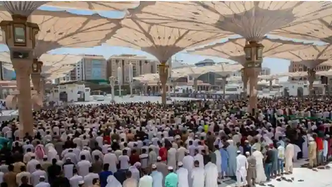 من اليوم برامج خاصة للأطفال في المسجد النبوي بمناسبة موسم حج 1445