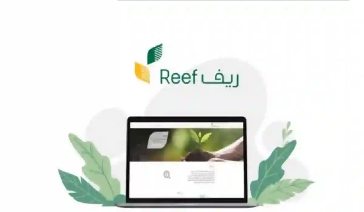 رابط الحاسبة التقديرية لبرنامج ريف السعودية