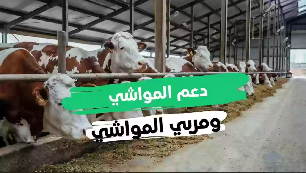 دعم المواشي